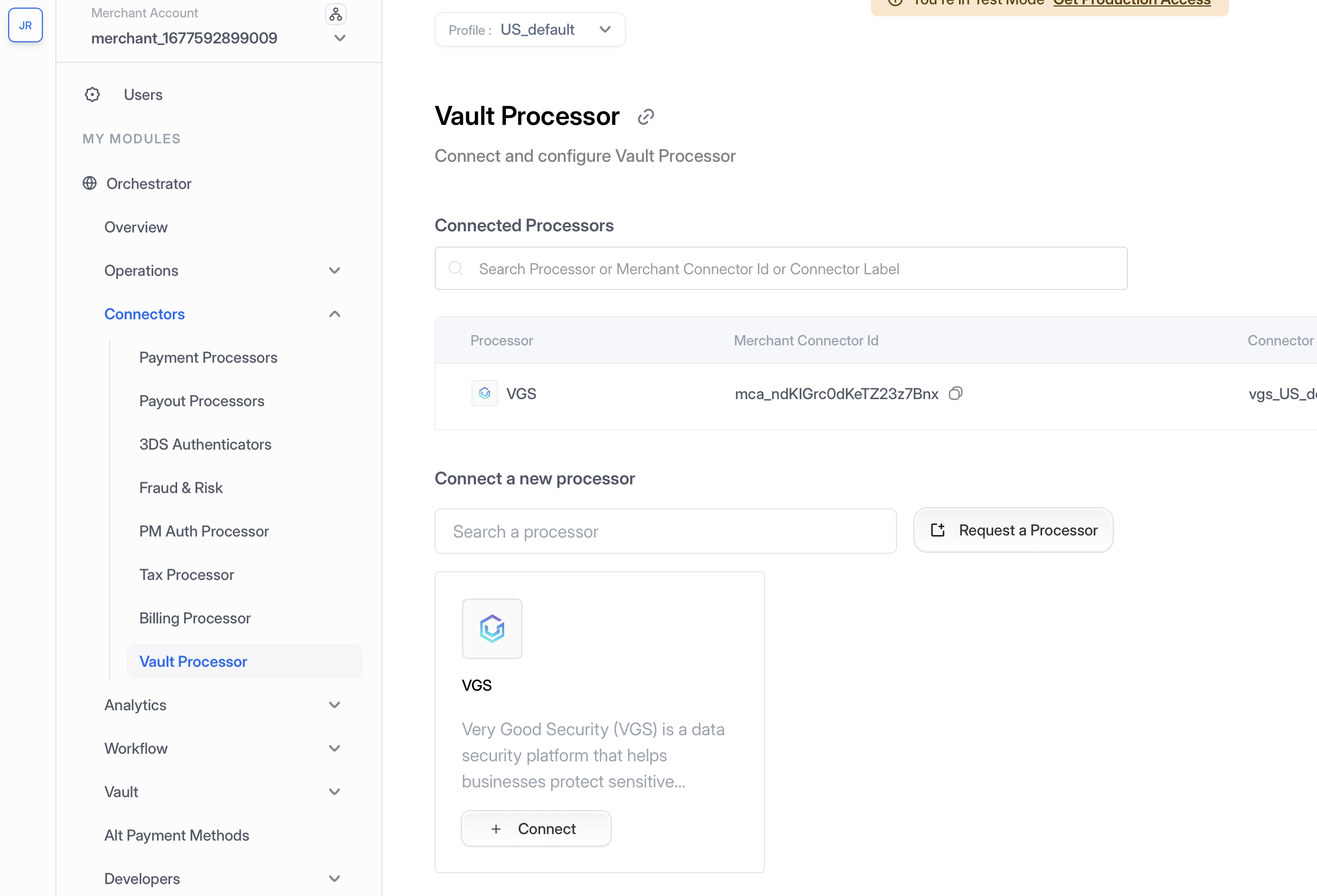 Vault Processor Setup